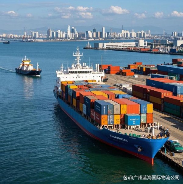 传金所 国际物流与货运代理行业核心特征解析